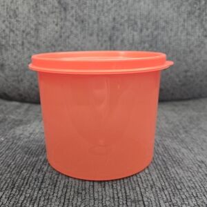 Tupperware Mini Canister